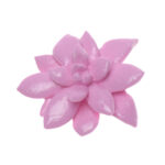 034 Suculenta Zinnia