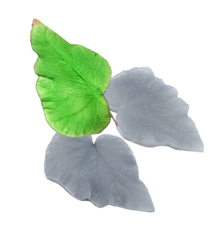 036 Marcador da Folha da Begônia