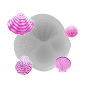 145 Quarteto de Conchas