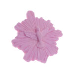 398 Espírito Santo com Esplendor Pq