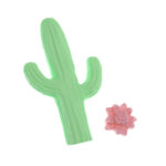 465 Cacto Médio + Florzinha