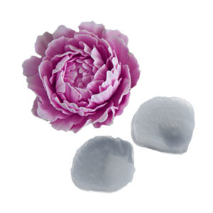 502 Marcador de Rosa Steele