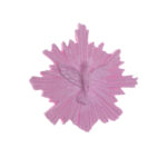 640 Espirito Santo 3D Pequeno