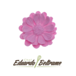 751 Flor Margarida Flossie EB