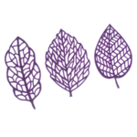 777 Trio de Rendas de Folhas Pequenas